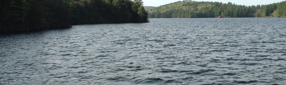 A view of Lake Sunapee